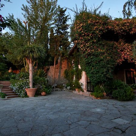 Villa Le Palme Forio di Ischia Dış mekan fotoğraf