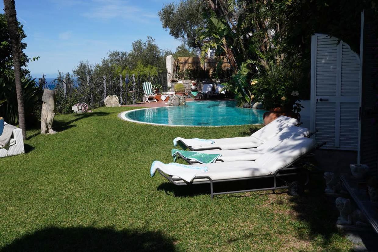 Villa Le Palme Forio di Ischia Dış mekan fotoğraf