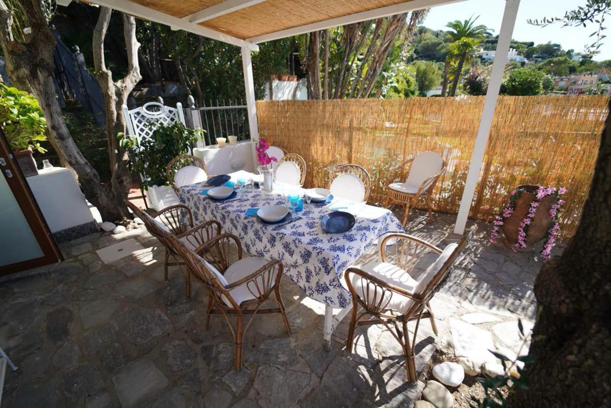 Villa Le Palme Forio di Ischia Dış mekan fotoğraf