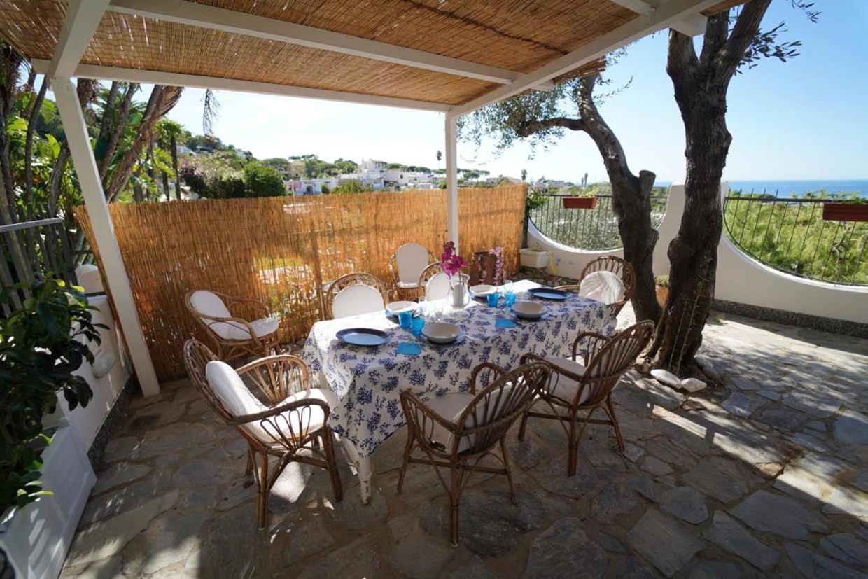 Villa Le Palme Forio di Ischia Dış mekan fotoğraf