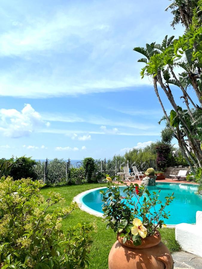 Villa Le Palme Forio di Ischia Dış mekan fotoğraf
