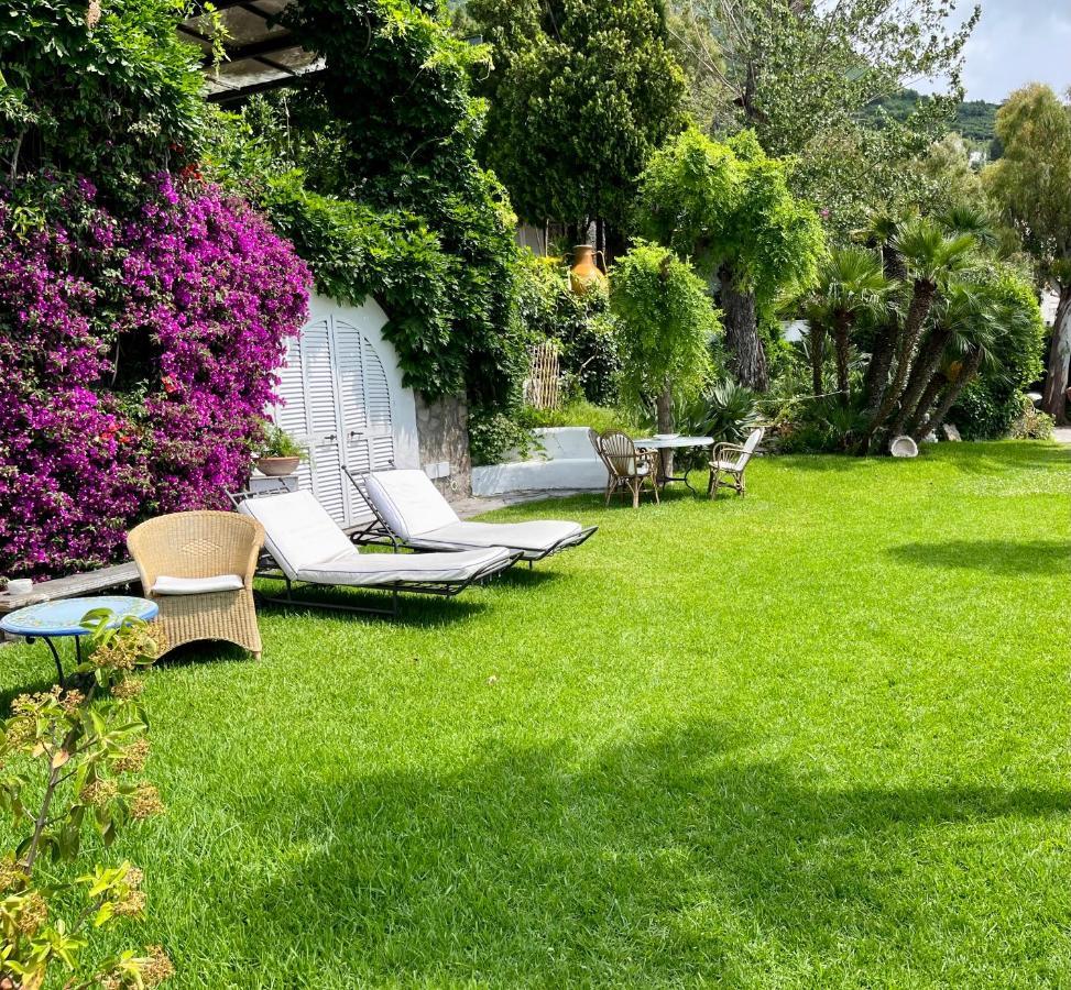 Villa Le Palme Forio di Ischia Dış mekan fotoğraf