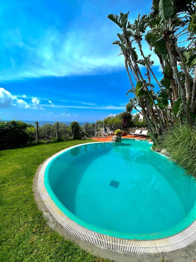 Villa Le Palme Forio di Ischia Dış mekan fotoğraf