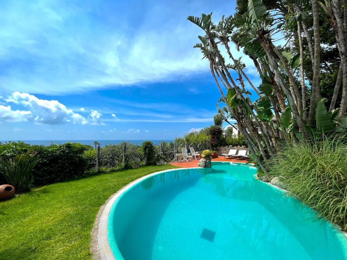 Villa Le Palme Forio di Ischia Dış mekan fotoğraf