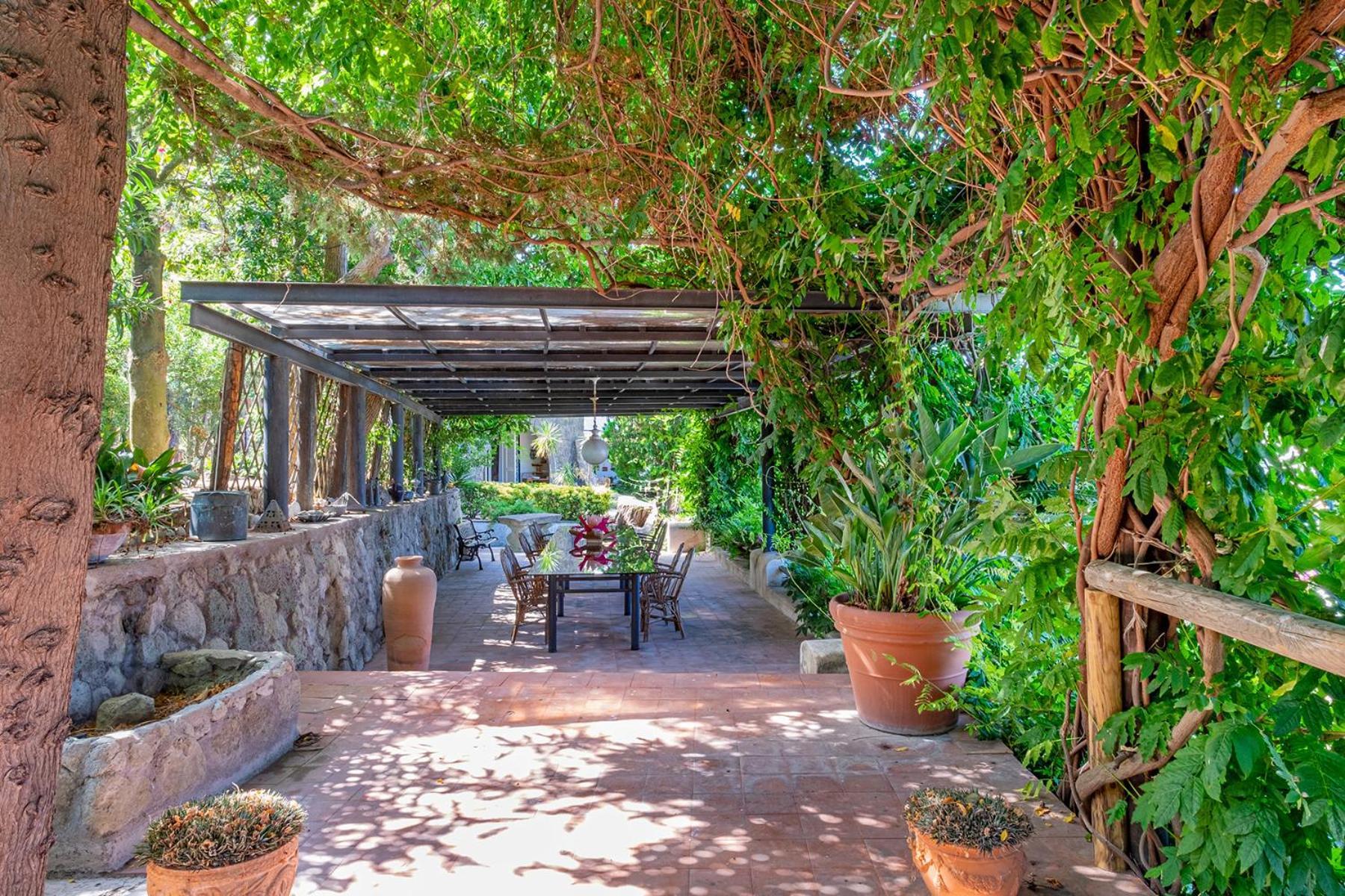 Villa Le Palme Forio di Ischia Dış mekan fotoğraf