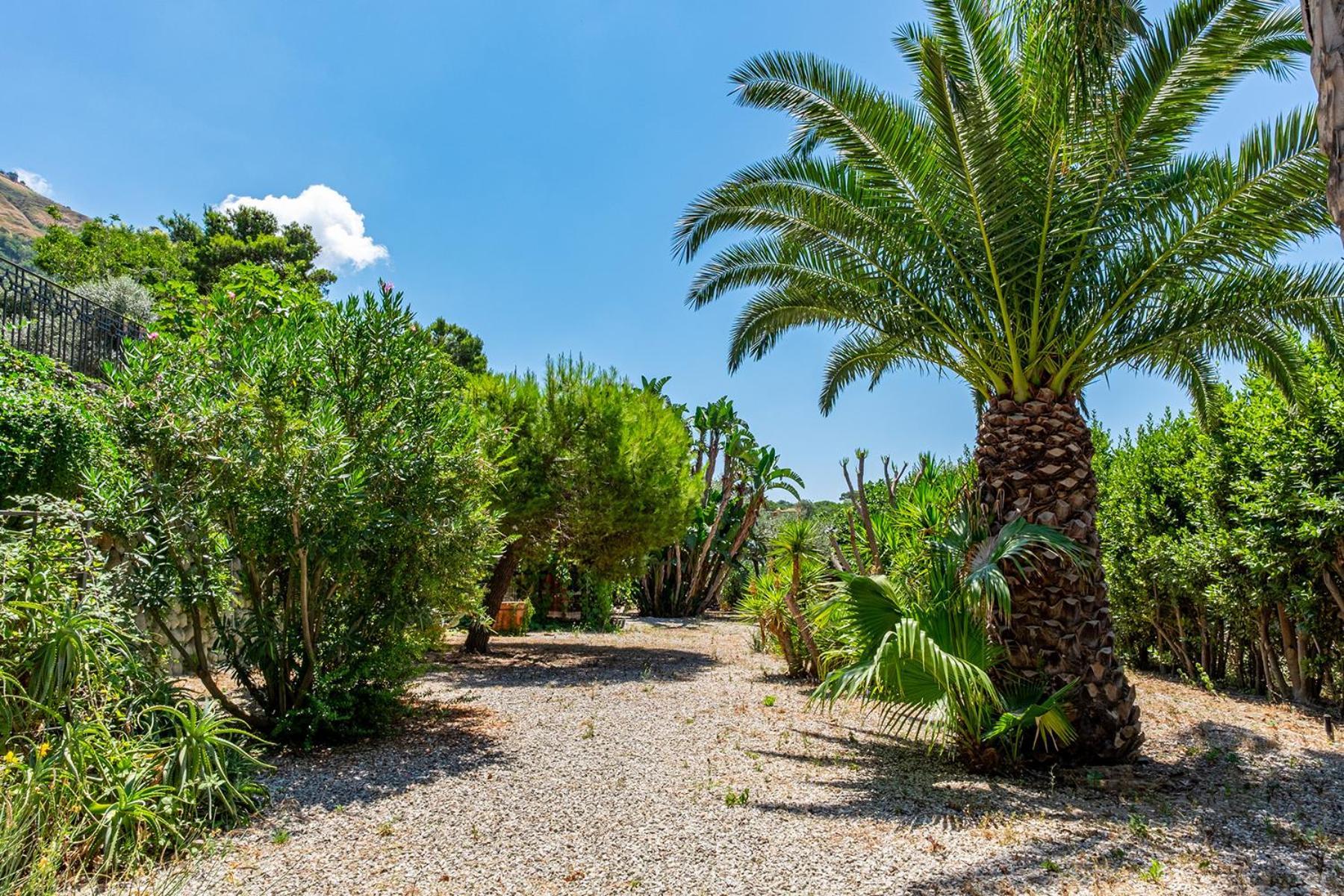 Villa Le Palme Forio di Ischia Dış mekan fotoğraf