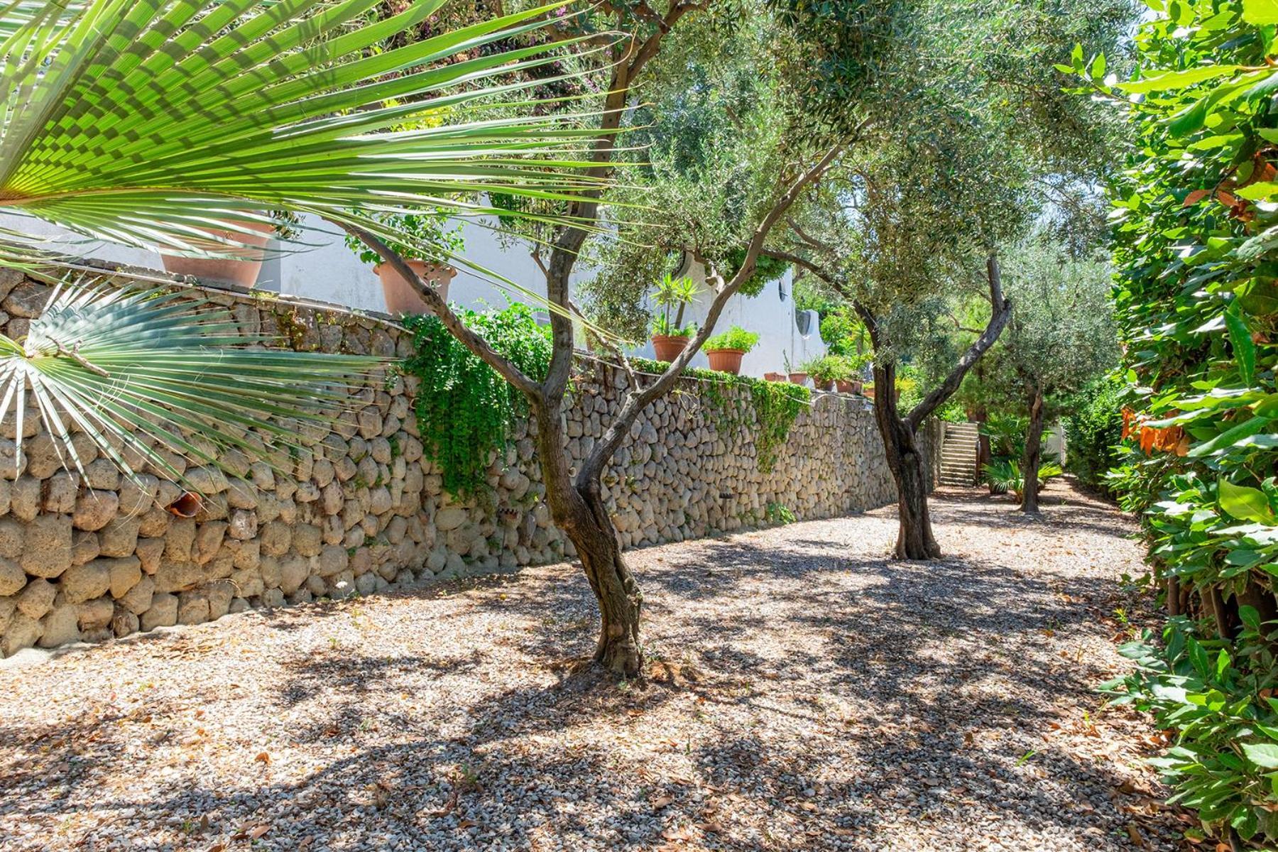 Villa Le Palme Forio di Ischia Dış mekan fotoğraf