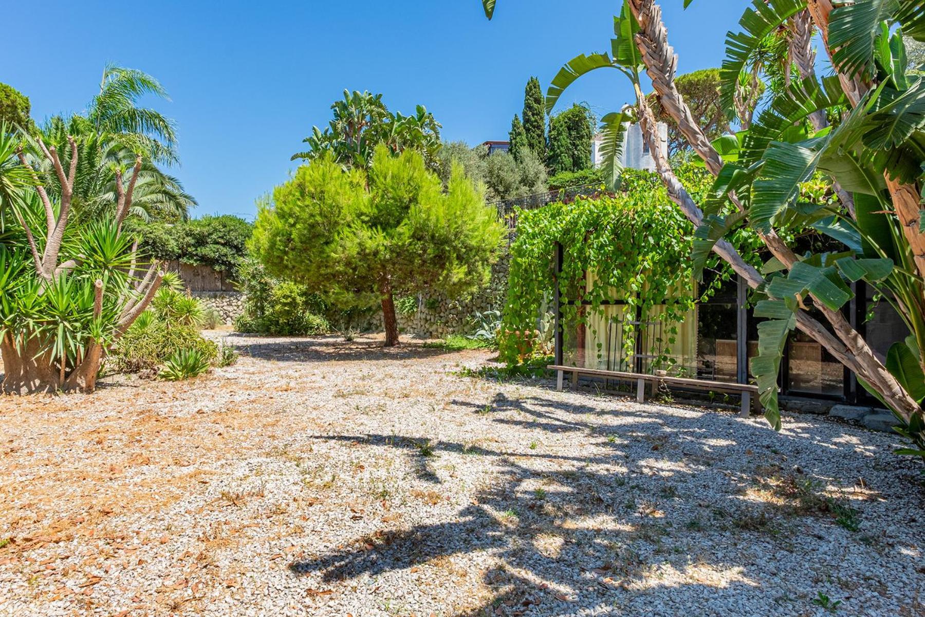 Villa Le Palme Forio di Ischia Dış mekan fotoğraf